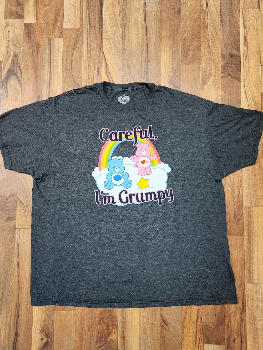 Care Bears Men Shirt 2X Gray Ripple Junction Careful Im Grumpy Rainbow Graphic